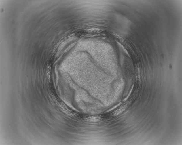 X0000053050664200508081130