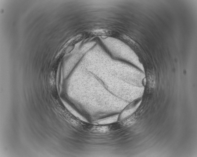 X0000053050665200508081130