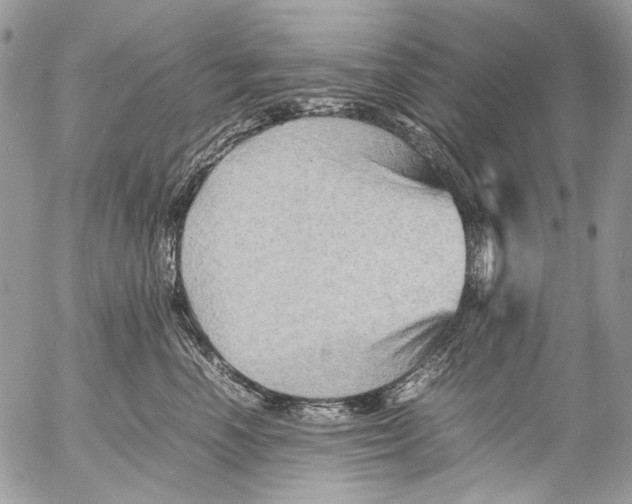 X0000053050666200508081130