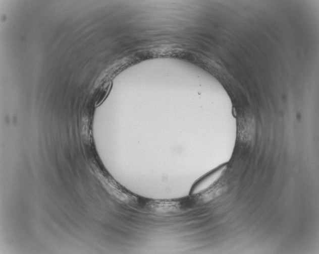 X0000053050670200508081130