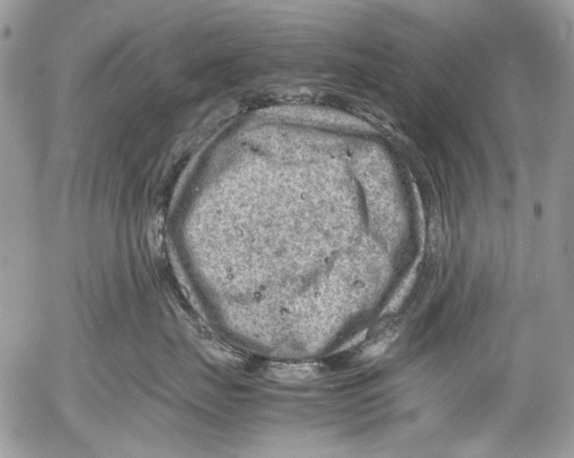 X0000053050671200508081130