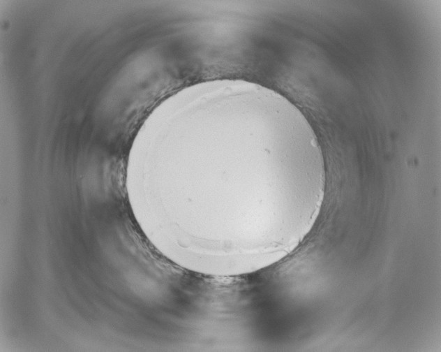 X0000053050672200508081130