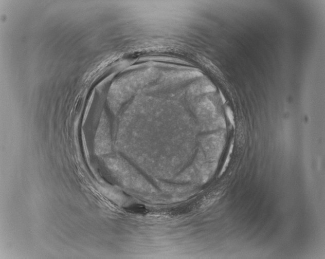 X0000053050673200508081129