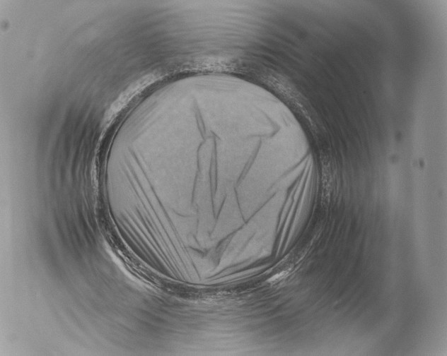 X0000053050674200508081129