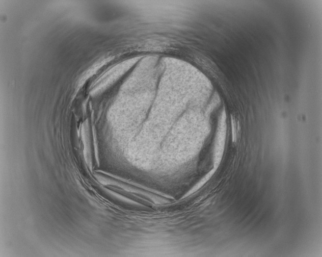 X0000053050675200508081129