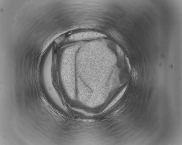 X0000053050676200508081129