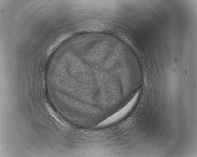 X0000053050677200508081129