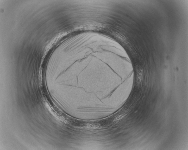 X0000053050678200508081129