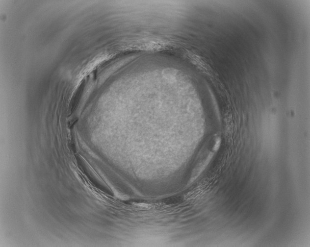 X0000053050679200508081129