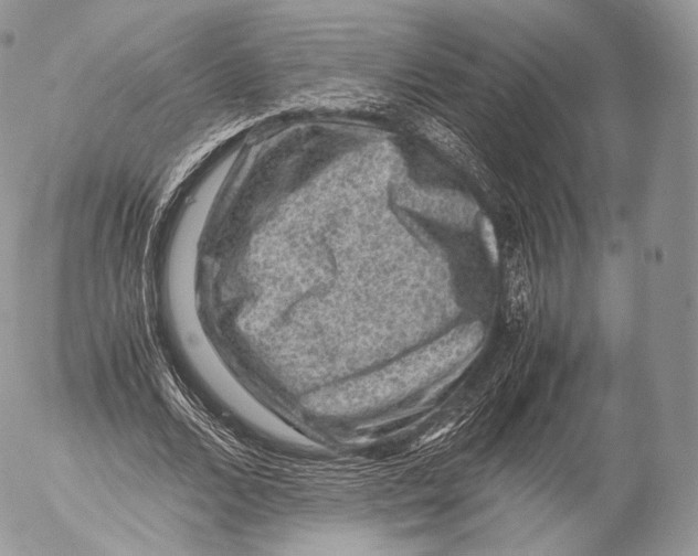 X0000053050680200508081129