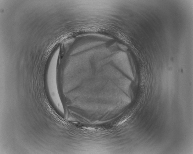 X0000053050681200508081129