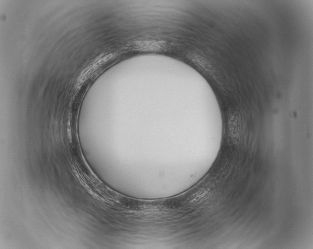 X0000053050682200508081129