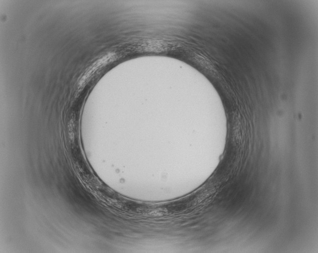 X0000053050683200508081129