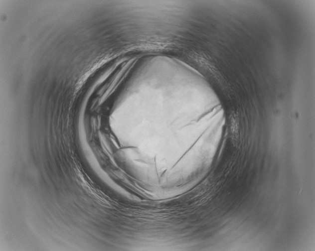 X0000053050684200508081129