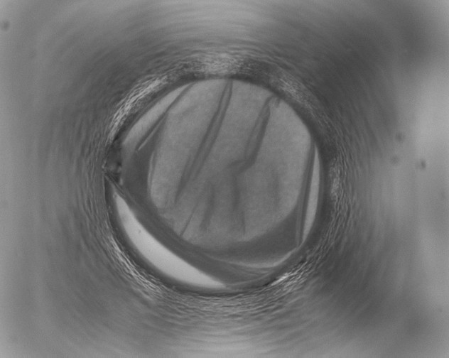 X0000053050685200508081129