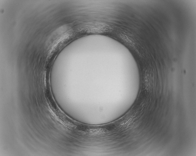 X0000053050686200508081129