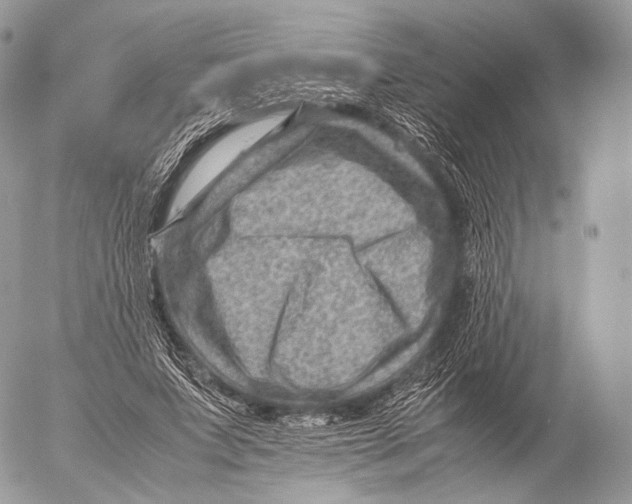 X0000053050687200508081129