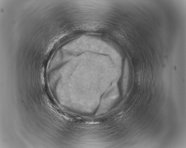 X0000053050688200508081129