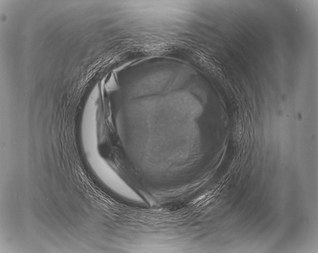 X0000053050689200508081129