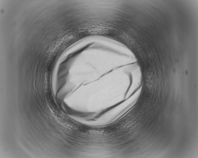 X0000053050690200508081129