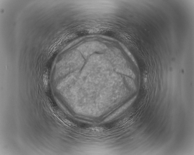 X0000053050691200508081129