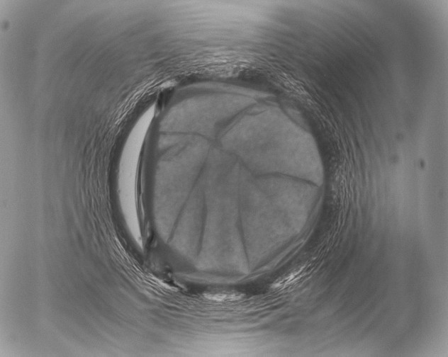 X0000053050693200508081129