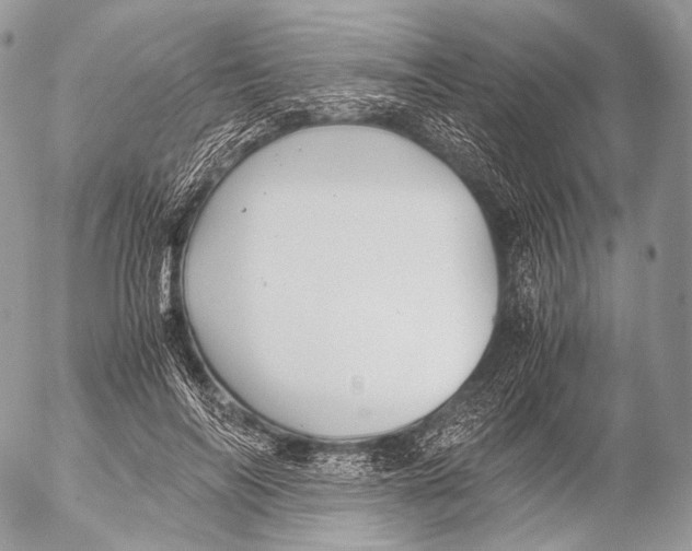 X0000053050694200508081129