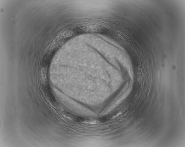 X0000053050695200508081129