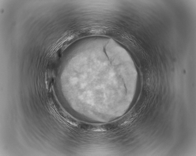 X0000053050696200508081129