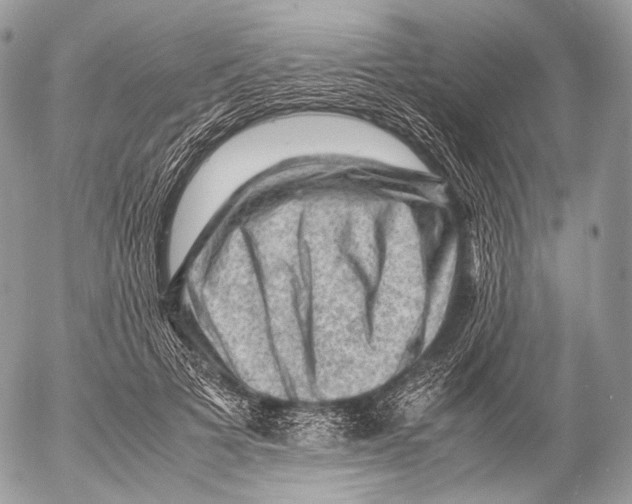 X0000053050697200508081129