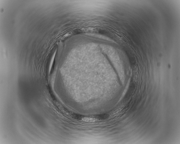 X0000053050699200508081129