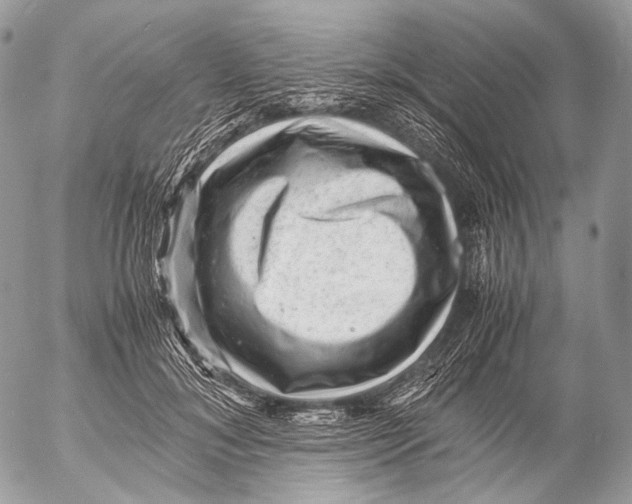 X0000053050700200508081129