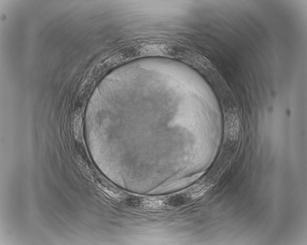 X0000053050701200508081129