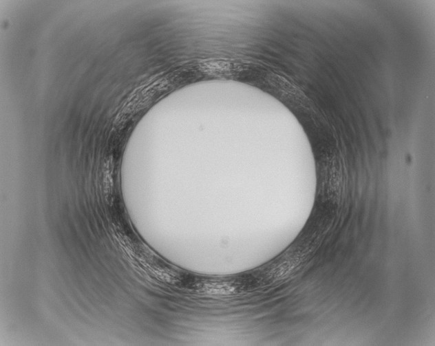 X0000053050702200508081129