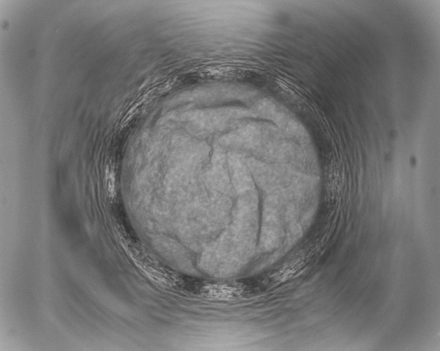 X0000053050703200508081129