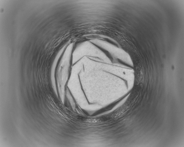 X0000053050704200508081129