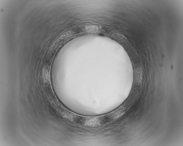 X0000053050705200508081129