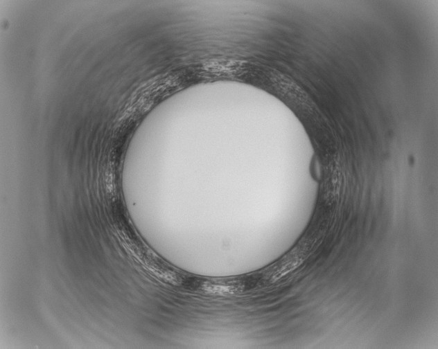 X0000053050706200508081129