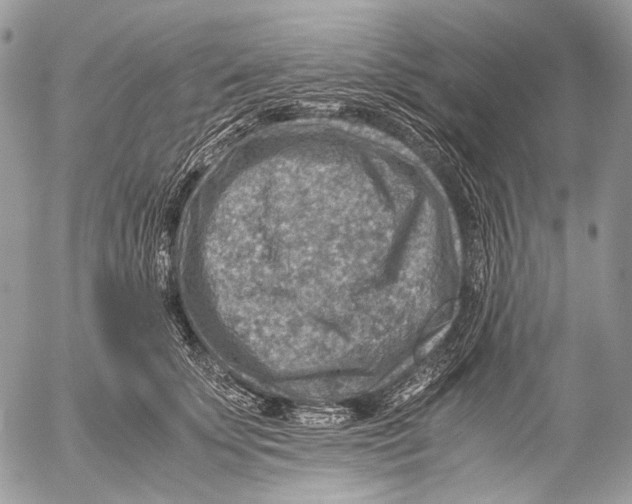 X0000053050707200508081129