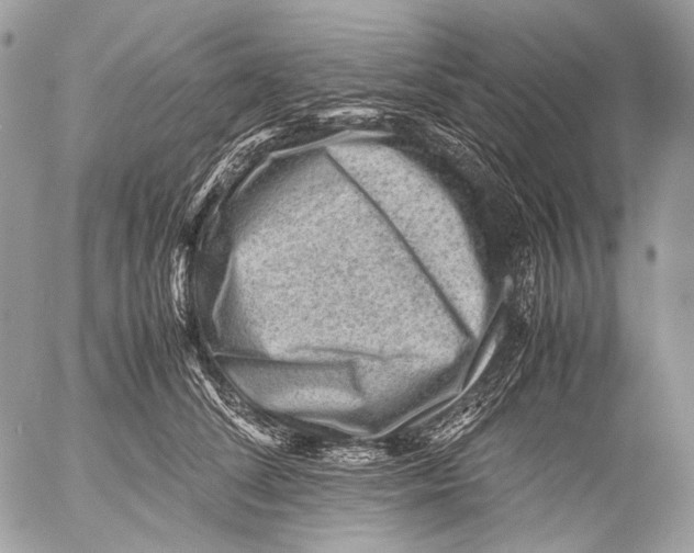 X0000053050708200508081129