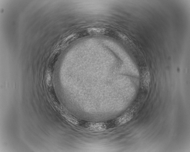 X0000053050709200508081129