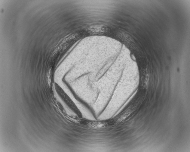 X0000053050710200508081129