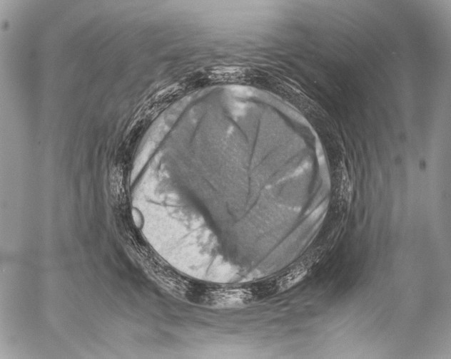 X0000053050711200508081129