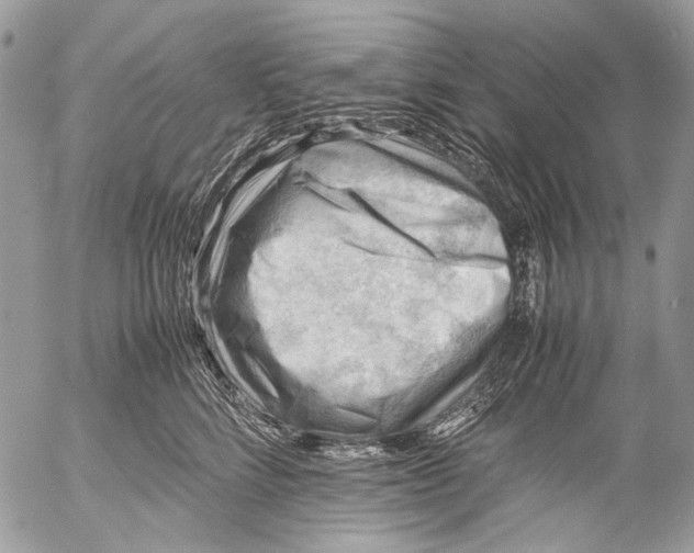 X0000053050712200508081129