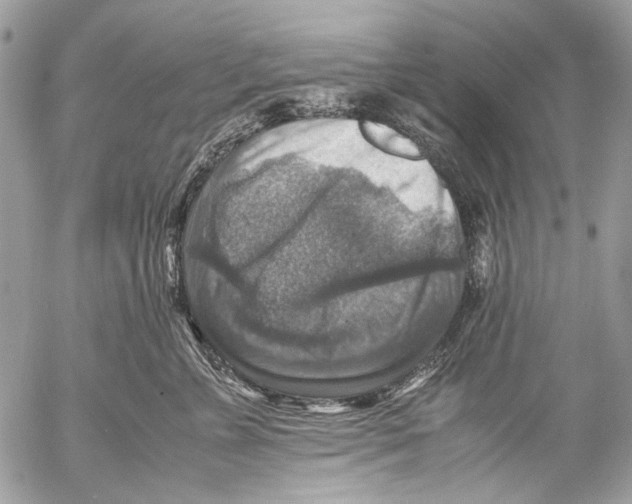 X0000053050715200508081128