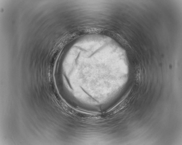 X0000053050716200508081128