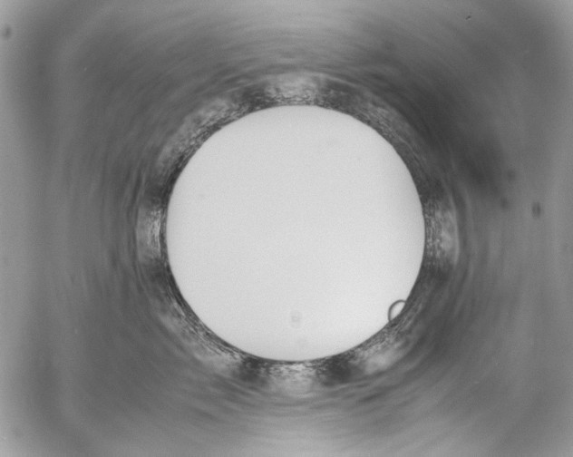 X0000053050717200508081128