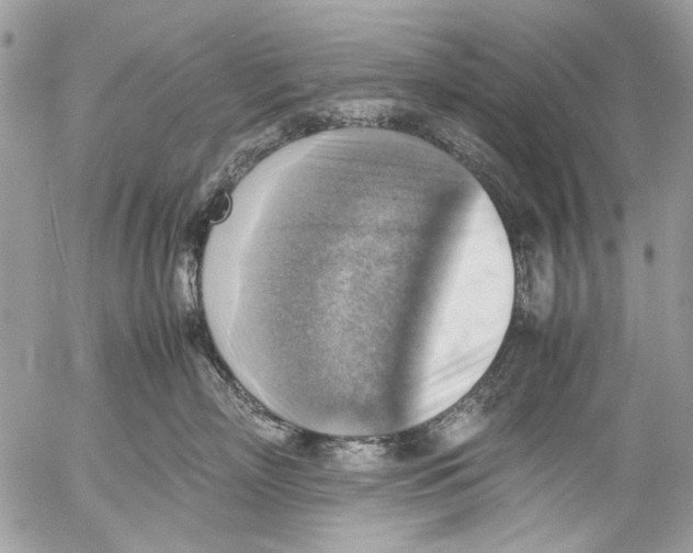 X0000053050718200508081128