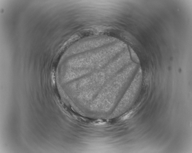 X0000053050719200508081128