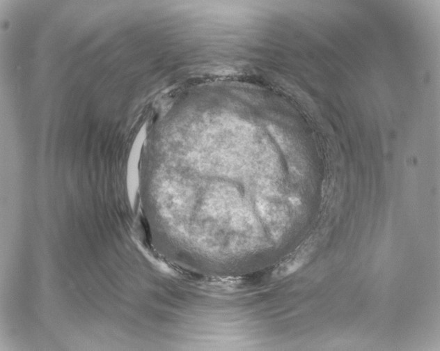 X0000053050720200508081128